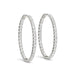 Oval Shape Two Sided Diamond Hoop Earrings in 14k White Gold (2 cttw) Earrings Angelucci Jewelry   